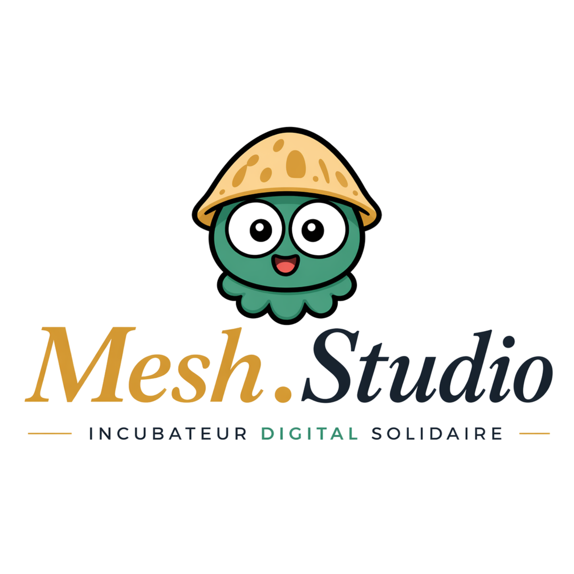 Mesh Studio